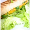 Panini céréales et blanc de poulet Un petit coucou des vacances... Je vous remercie pour tous les petits mots laissés pendant mon absence. Ils m'ont fait très plaisir!