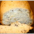 Pain de mie aux céréales C'est la version que je préfère, la mie est moelleuse on pourrait presque faire un rapprochement avec le pain de mie d'une grande marque ;-)