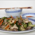 Shop suey de légumes au poulet Ou comment manger 5 légumes et plus en 1 seul repas! Le chop suey se trouve aussi dans la série des incontournables plats chinois qu’on retrouve partout sur l’île, que ce soit au poisson, poulet, porc, crevettes ou végétarien. Le...