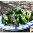 Ayant, refait cette recette pendant mes vacances dans le Cher, avec mes parents, je vous montre une petite photo des piments farcis remplis. Je tenais à vous montrer la découpe du piment que l’on fend dans le sens de la...