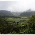 Cela faisait plusieurs jours que nous attendions le dénouement de la commission de l'UNESCO qui siégeait à Brasilia (Brésil), et, qui débattait sur la candidature de La Réunion.