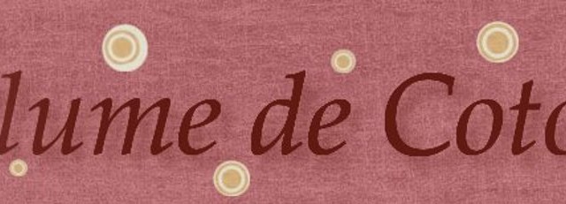 Je vous ai fait des infidélités ces dernières semaines, j'ai lancé un nouveau blog, dans un autre registre, couture...
